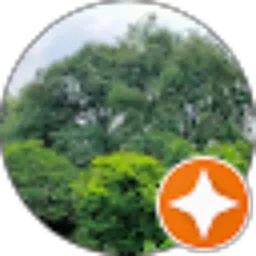 Review From cuy gle