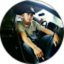 Review From Anizar Sugiarto