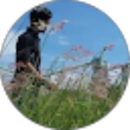 Review From Ardy D. P