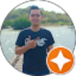 Review From Roni Prayibno