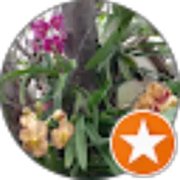 Review From Siti Srihandayani