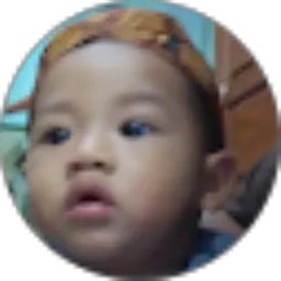 Review From RIZKY.P COM enda