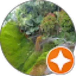 Review From Sugeng Purnomo