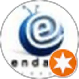 Review From Endang Hidayat