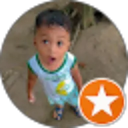 Review From dedi susanto