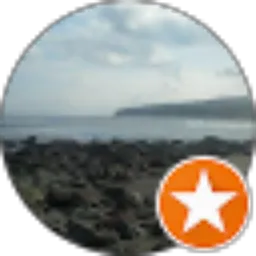Review From Daniel Kuntani