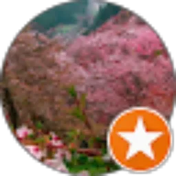 Review From Rosita