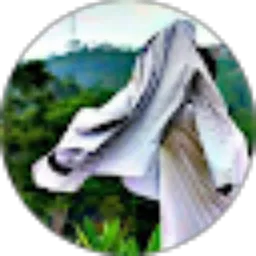 Review From DiTi 27
