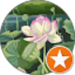 Review From Desi Triana