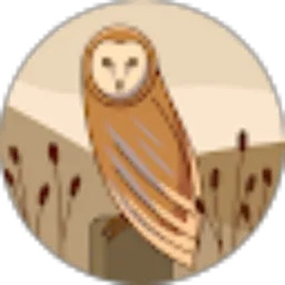 Review From Yoel