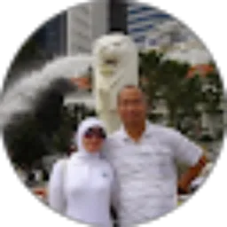 Review From arief wibowo