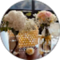Review From Maria Stefany