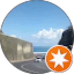 Review From Hermin