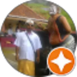 Review From Wayan sumiarsa 0818