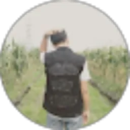 Review From Syaiful Rahman