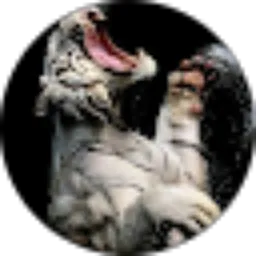 Review From K i r i n
