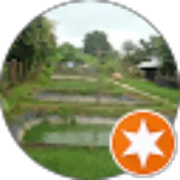 Review From Ronald Setiawan
