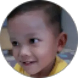 Review From Alfi Zikha
