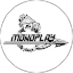 Review From Mrplaywood