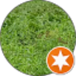 Review From mursalim hsd