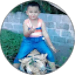 Review From Wiwik Cahyani