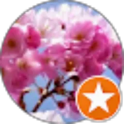 Review From Flower Music