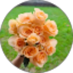 Review From Ruth Tiara