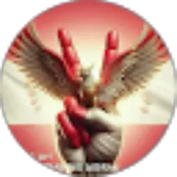 Review From Rival Dage