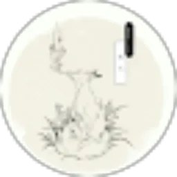 Review From Elenoise Alice