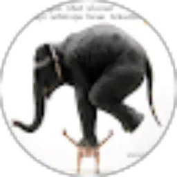 Review From yaghlibu nidhom