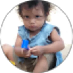 Review From Dian Setiawan