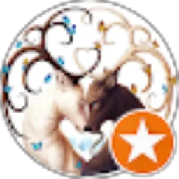 Review From inggrid chen