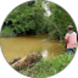 Review From su jung fishing