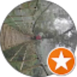 Review From Joe Joe