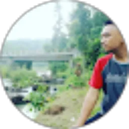 Review From Muhammad Nur Budi Prasetyo