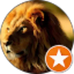 Review From Dave