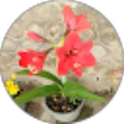 Review From yohana esti