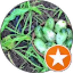 Review From RAN oficialteam