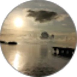 Review From evans r