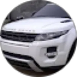 Review From Vine