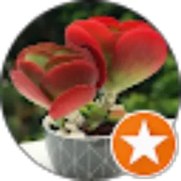 Review From Taufiq Qurokhman