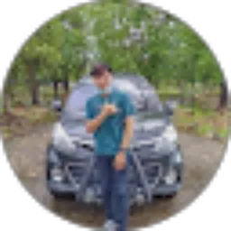 Review From Ryzotic