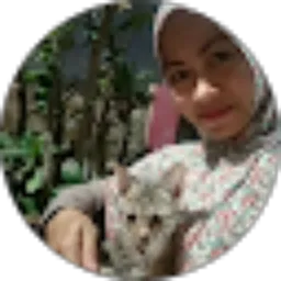 Review From Raggil Mulat