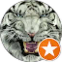 Review From BenAuzi Sk