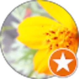 Review From brans li