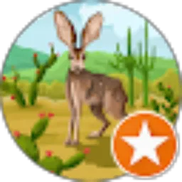 Review From RABBIT wow
