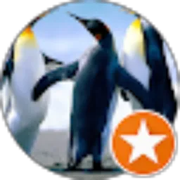Review From Riyatno Nano