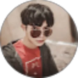 Review From Zhuky