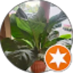 Review From Berty Runtuwene