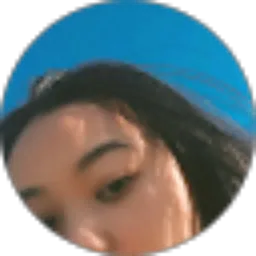 Review From han2